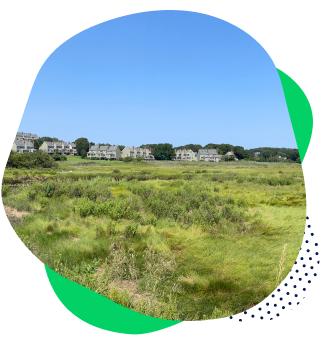 Marsh View Photo