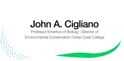 John A. Cigliano Logo