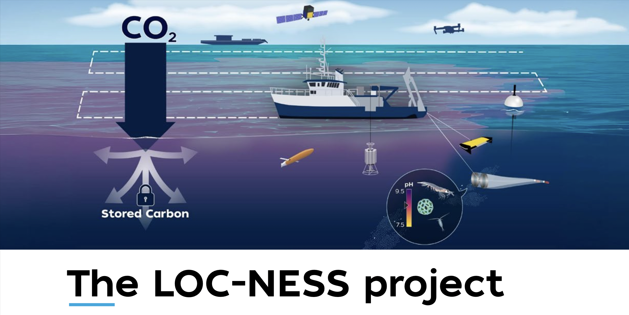 The LOC-NESS Project Image
